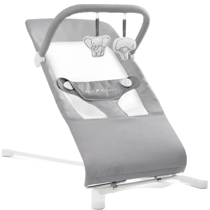 Baby Delight Highland Portable Baby Bouncer - Pebble Gray
