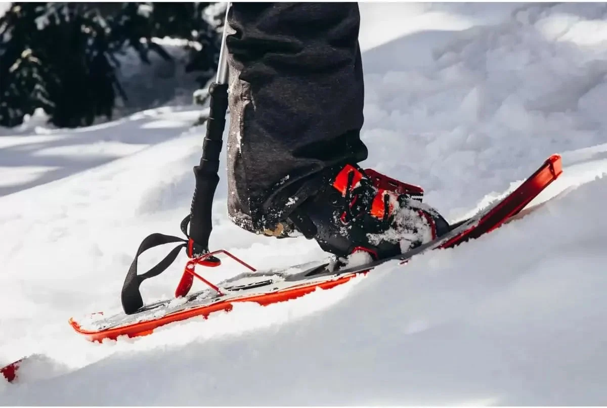 Alptrek Pro Snowshoe Kit With Adjustable Poles And Carrying Case - Small