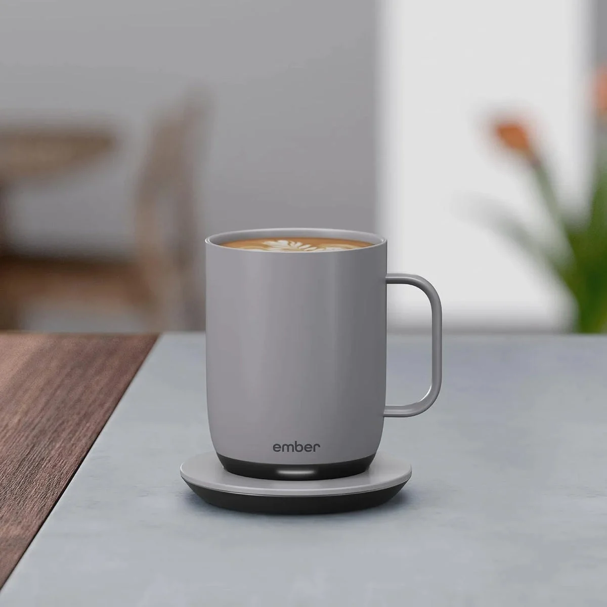 Ember 14 oz Mug Set - Gray