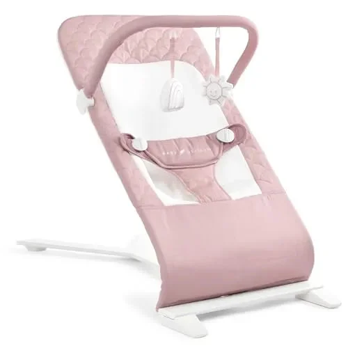 Baby Delight Alpine Deluxe Portable Bouncer - Organic Rose