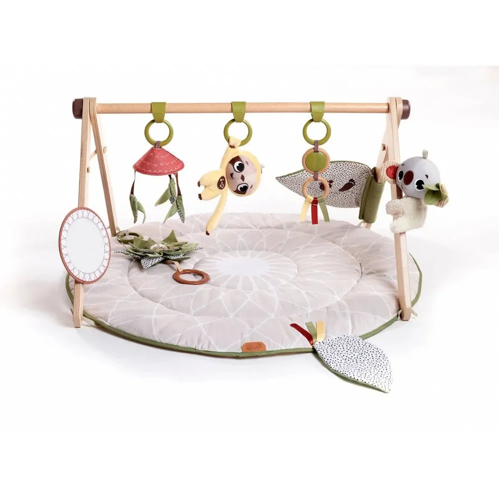 Tiny Love Boho Chic Luxe Developmental Gymini