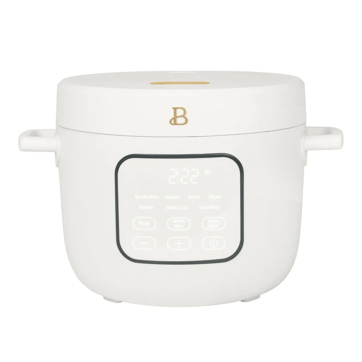 Beautiful Electric Rice and Grain Cooker - White Icing