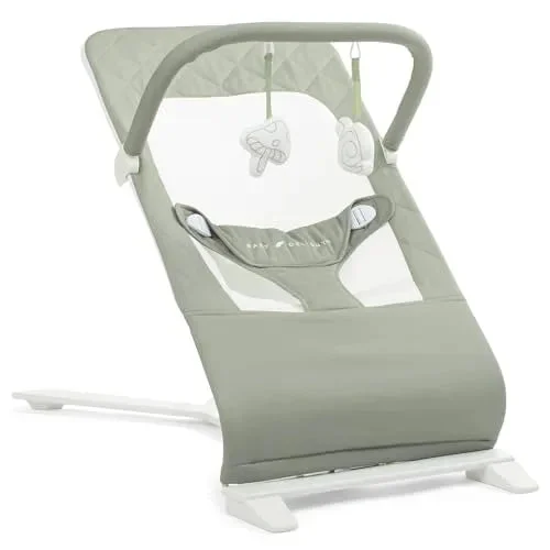 Baby Delight Alpine Deluxe Portable Bouncer - Sage
