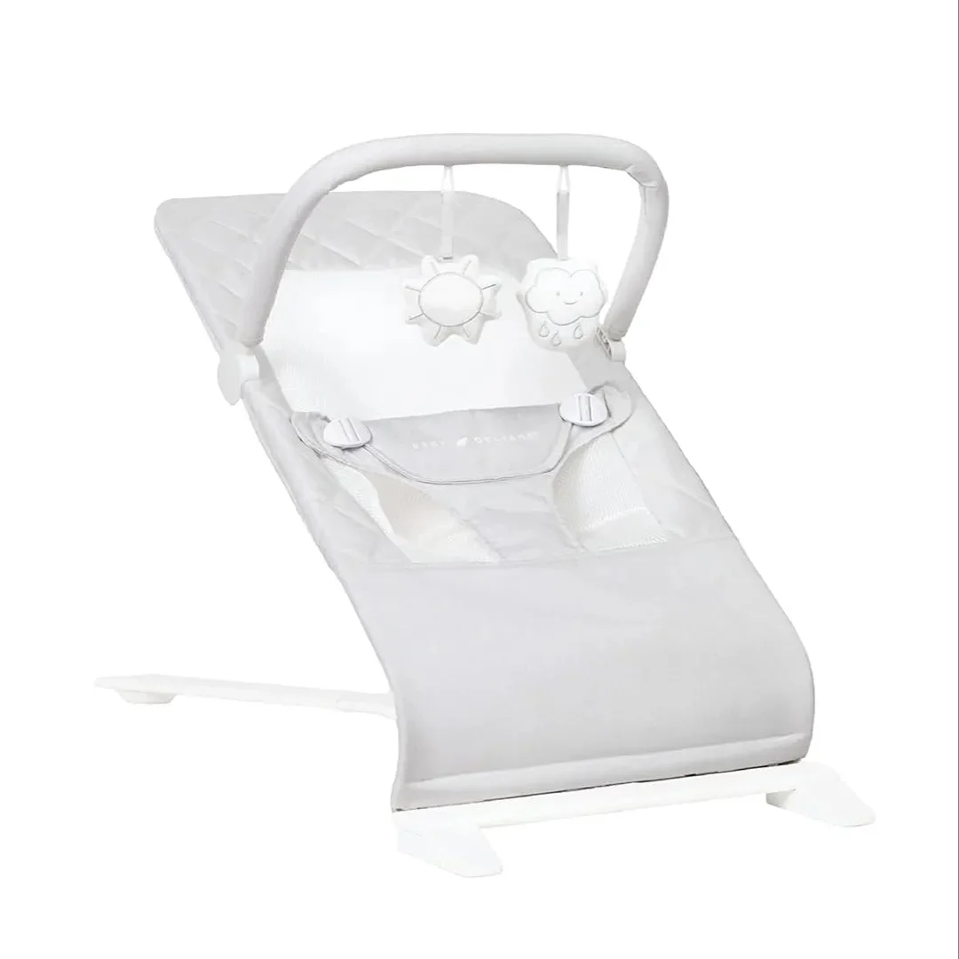 Baby Delight Portable Baby Bouncer - Driftwood Grey
