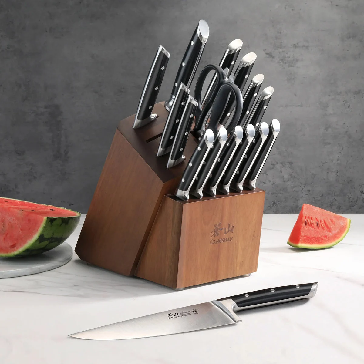 Cangshan Denali Series German Steel Forged 17-piece Knife Block Set - Black