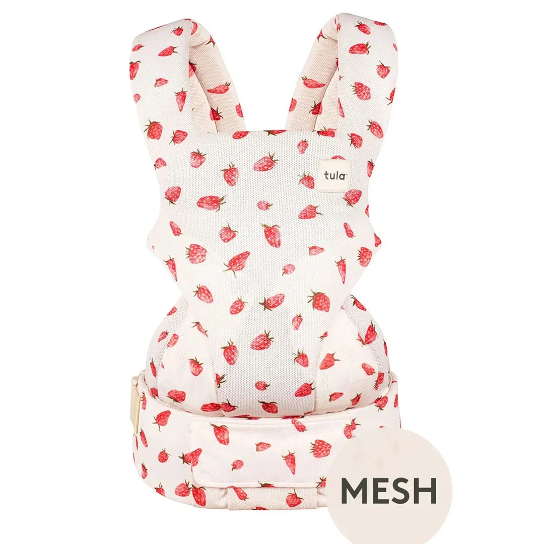 Tula Strawberry Mesh Explore Carrier