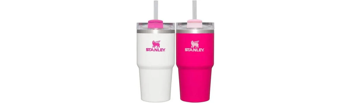 Stanley 2pk 20oz Stainless Steel H2.0 Flowstate Quencher Tumblers - Pink Vibes/White
