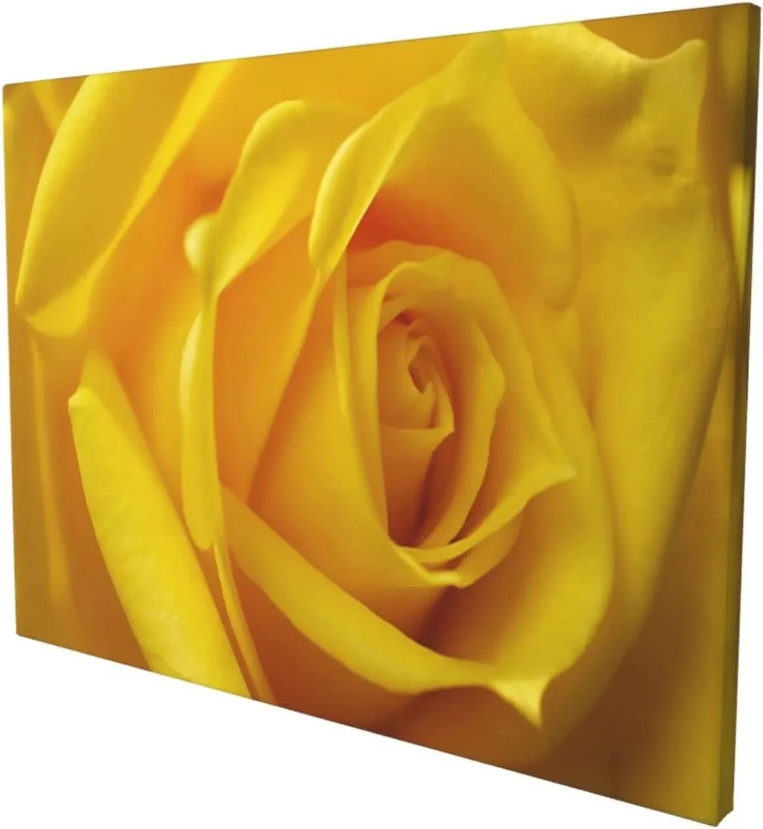 Ebern Designs Rose Petals On Canvas Print