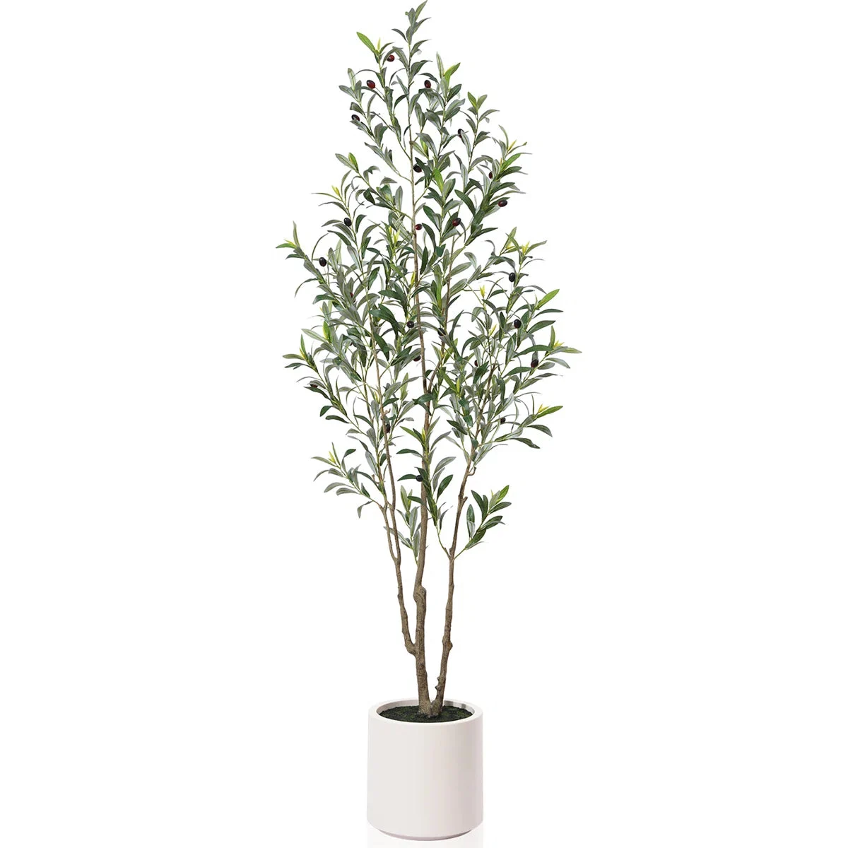 Primrue Faux Olive Tree in White Planter - 72'' H X 21'' W X 21'' D