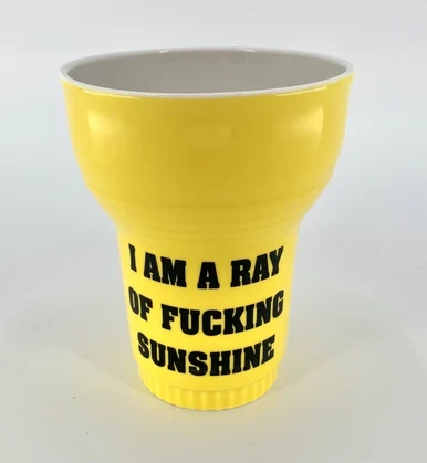 Ray Of F*cking Sunshine Double Wall Insulated Mug 16oz - Incense & Home Decor