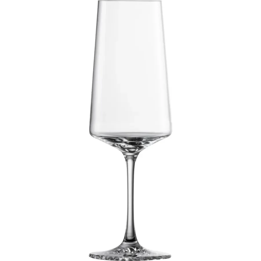Zwiesel Glas GLAS Echo Champagne Flute(Set of 4), Champagne Glasses