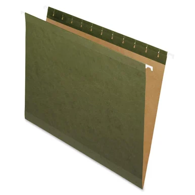 Esselte Hanging Folder Without Tabs - Letter - 8.50" X 11" - Green - 25 / Box (ESS4152)
