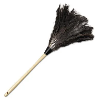 Boardwalk 23FD Professional Ostrich Feather Duster, 13" Handle
