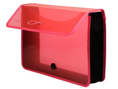 Lion Office 48160-PK Wallet,exp,letter,3",ast