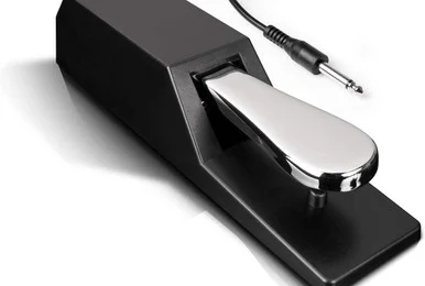 Alesis ASP2 Universal Sustain Pedal