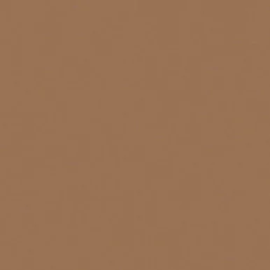 Pacon Sunworks Construction Paper - 12" X 18" - Brown (6707)