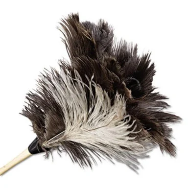 Boardwalk 13FD Professional Ostrich Feather Duster, 7" Handle