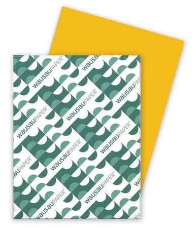 Astrobrights Colored Paper - For Laser, Inkjet Print - Letter - 8.50" X 11" - 24 Lb - Smooth - 500 / Ream - Gold (22571)