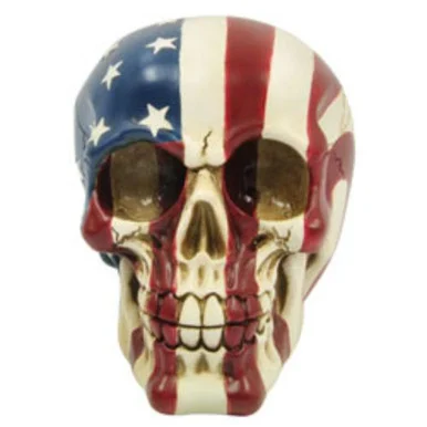 Das Novelty P754107 Skull American Flag - treasure cove