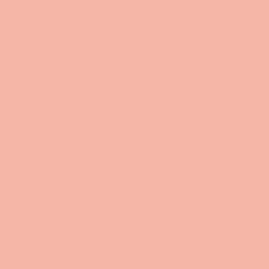 Tru-ray Heavyweight Construction Paper - 12" X 9" - Salmon (103010)