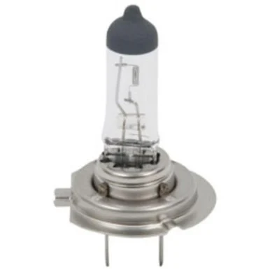 Roadpro RPHBH7 H-7 Capsule 55 Watt Freightliner