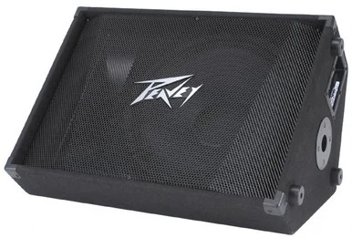 Peavey PV15M 15 2 Way Stage Monitor
