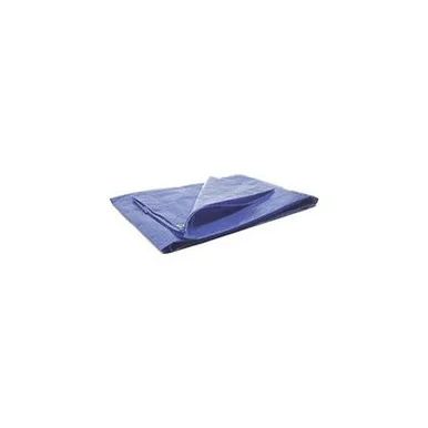 Wilmar W6002 Protective Tarp Size 6x8