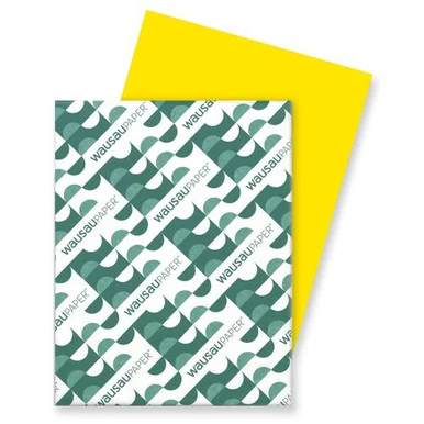 Astrobrights Card Stock - For Inkjet, Laser Print - Letter - 8.50" X 11" - 65 Lb - Smooth - 250 / Pack - Silver (WAU22731)