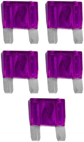 Xscorpion MXF100 100 Amp Fuses 5per Bag - Audiopipe