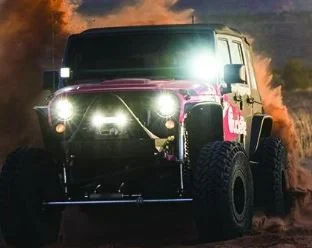 RIGID INDUSTRIES RIGID Q-Series PRO LED Light, Flood Optic, Black Housing, Single 244113