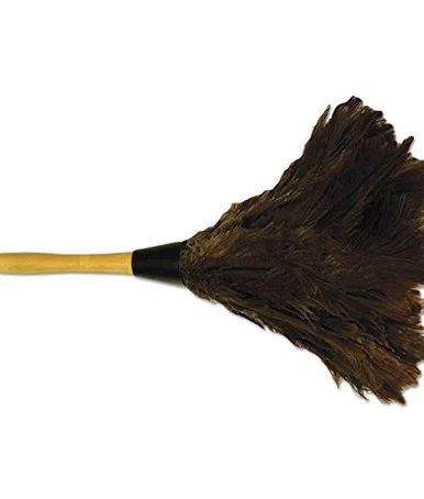 Boardwalk BWK14FD Professional Ostrich Feather Duster, Gray, 14", Wood Handle