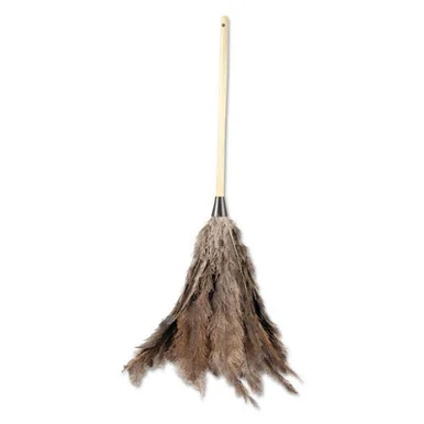 Boardwalk 31FD Professional Ostrich Feather Duster, 16" Handle