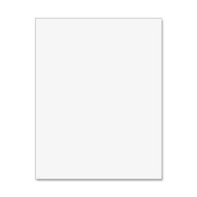 Peacock Railroad Poster Board With Upc Label - 22" X 28" - White (PAC54606)