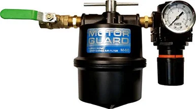 Motor Guard MGM-60R Sub-micronic Air Filter With Regulator