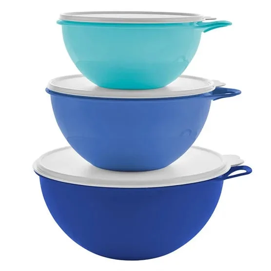 Tupperware 6-piece Thatsa Bowl Set - Blue