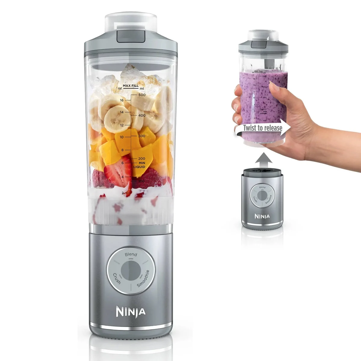 Ninja Portable 22oz Blender - Platinum Silver
