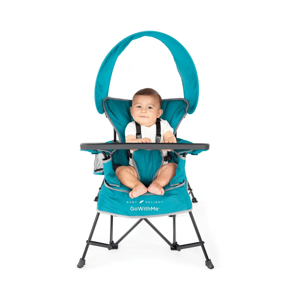 Baby Delight Go with Me Jubilee Deluxe Portable Chair - Teal